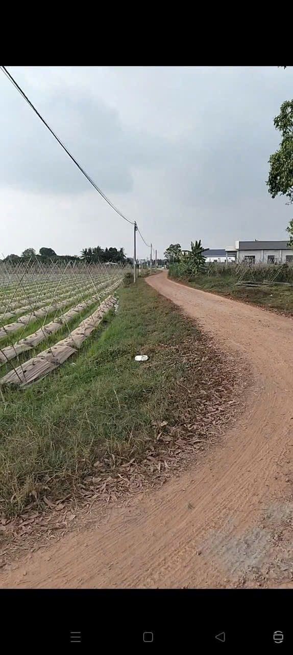 Đất nền đẹp tại xã Châu Thành, Tây Ninh 200m² - Giá tốt, cơ hội đầu tư hấp dẫn!