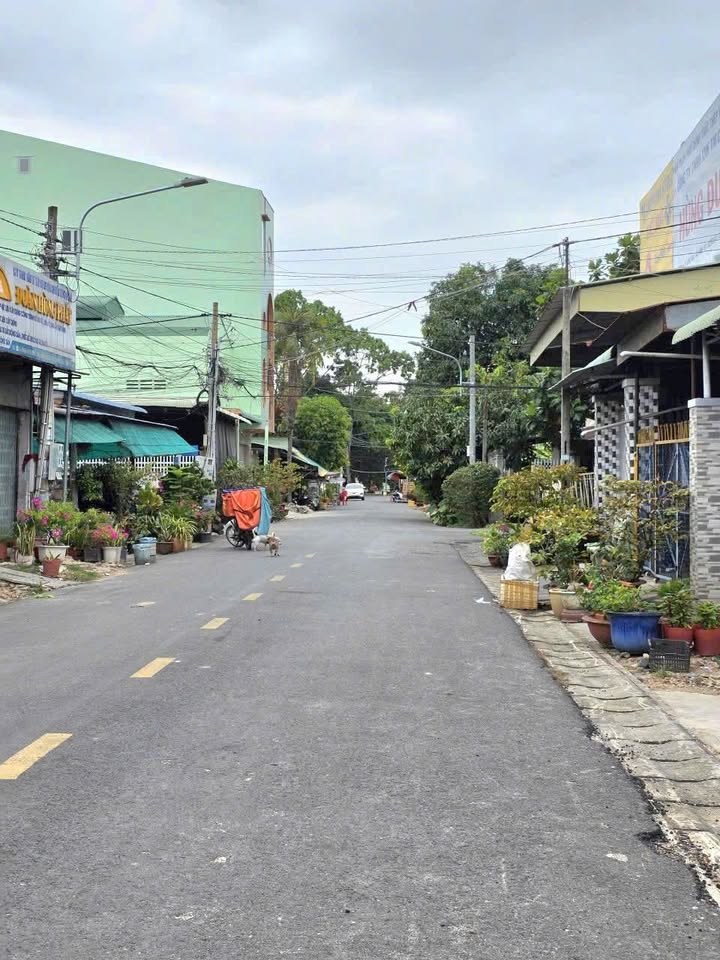 Đất nền phố Ninh Đức Tây Ninh 119m² giá 1.301 tỷ - Vị trí kinh doanh đắc địa!