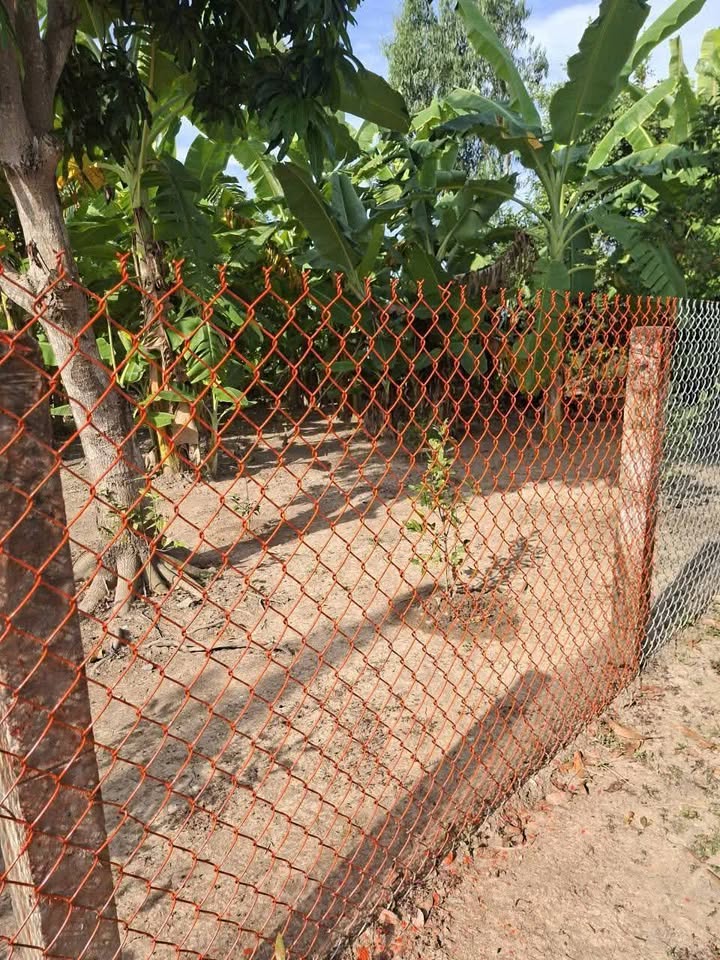 Đất thổ cư Ấp 3 Tân Phước 240m² giá 550 triệu - Pháp lý rõ ràng, sẵn sàng xây dựng!