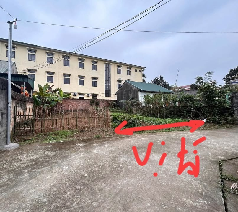 Đất thổ cư Khu An Ninh Hạ, Xã Văn Lung, 99.1m² - Giá chỉ 600 triệu