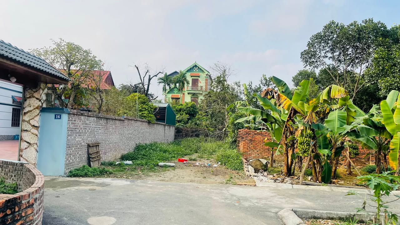 Đất thổ cư 147m² tại Thôn 3, Xã Tân Xã, giá 4.41 tỷ - Đầu tư sinh lời cao!