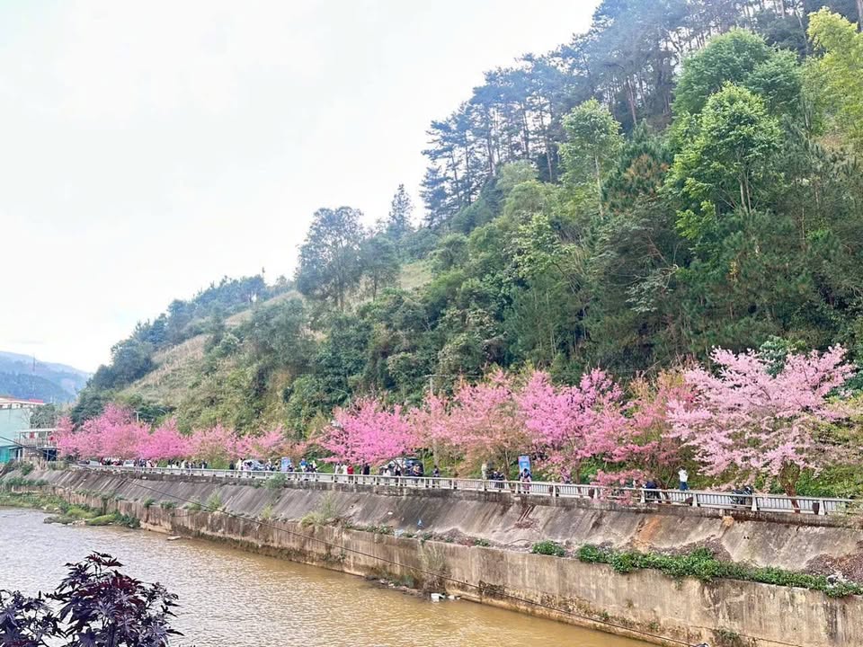 Nhà mặt tiền trung tâm huyện Mù Cang Chải 144m² giá 11.5 tỷ - Kinh doanh lý tưởng!