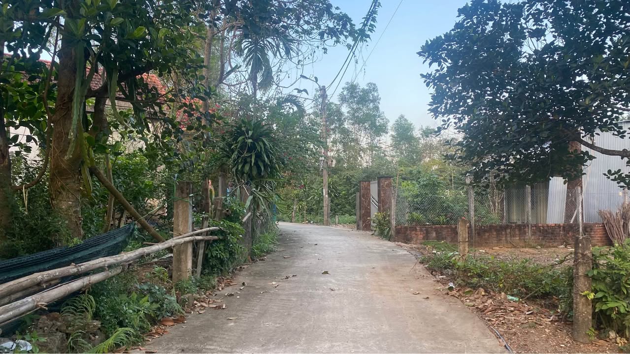 Đất nền Hòa Tiến, Đà Nẵng 163m² giá 800 triệu - Cơ hội đầu tư tuyệt vời!