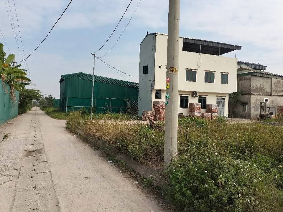 Đất đấu giá Hoàng Xá 80m² giá 6 tỷ - Cơ hội đầu tư hấp dẫn!