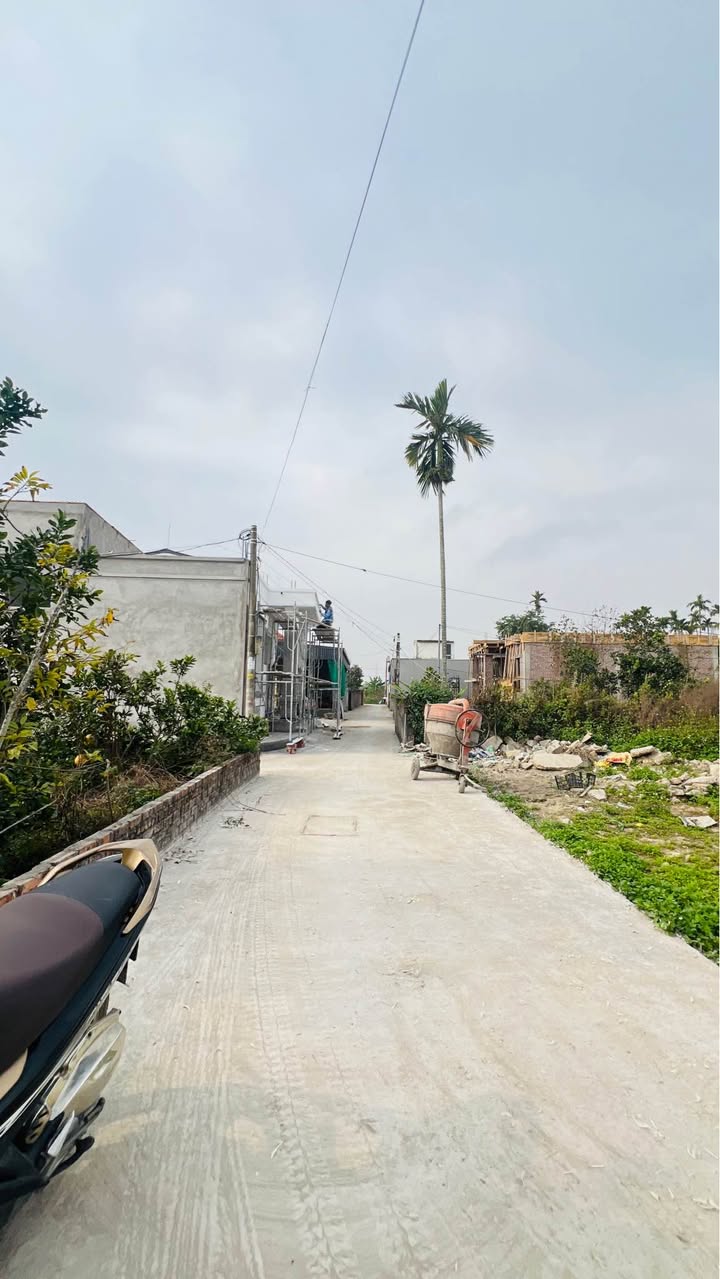 Đất nền Kiều Thượng, Phường An Hải, 52m², giá thỏa thuận - Đầu tư sinh lời ngay!