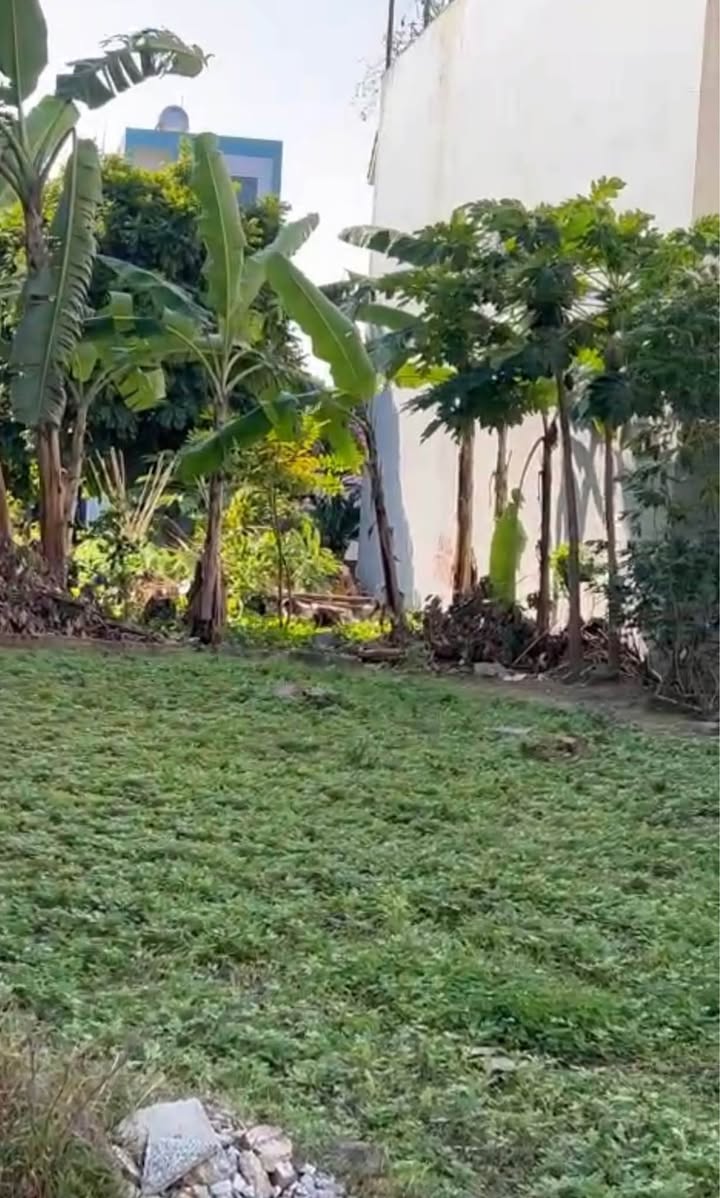 Đất mặt đường TĐC Nam Hải 2, Hải An, 60m² - Đầu tư sinh lời ngay!