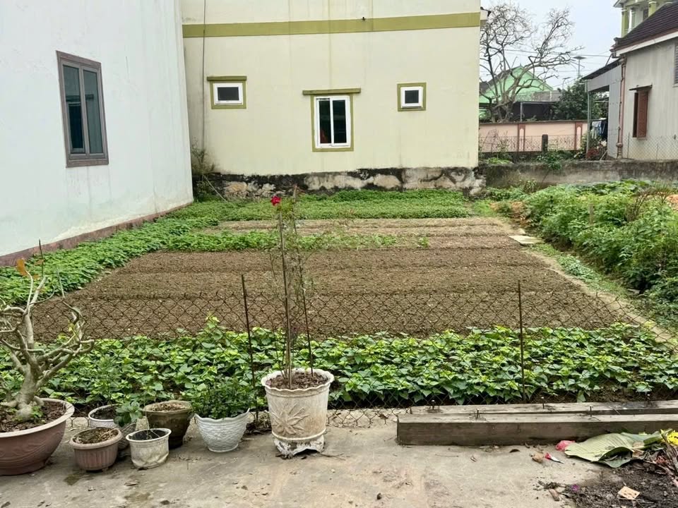 Đất nền Xóm 4 Đông Sơn 119m² giá 1.5 tỷ - Thích hợp cho gia đình trẻ!