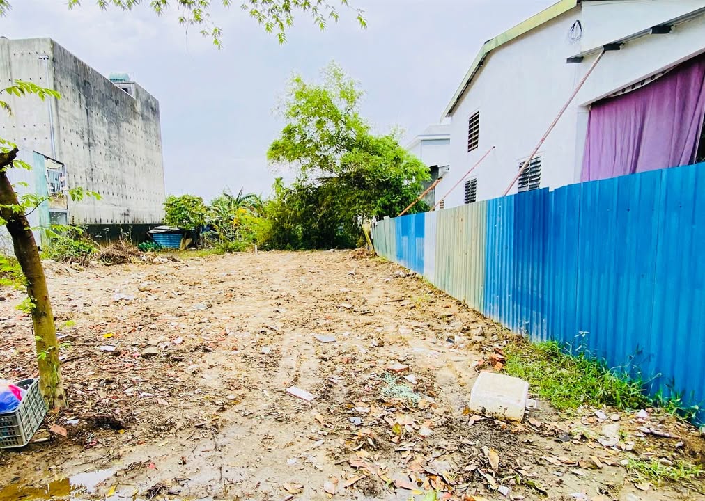 Đất mặt đường Hoàng Trọng Mậu, Phú Thượng, 129m² - Giá tốt, thương lượng!