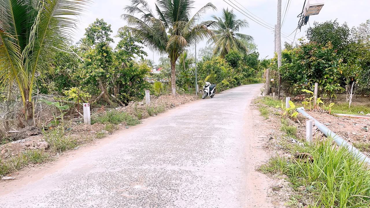 Đất nền xã Nhơn Nghĩa A, Huyện Châu Thành A, 177m² giá 750 triệu - Đầu tư sinh lời ngay!