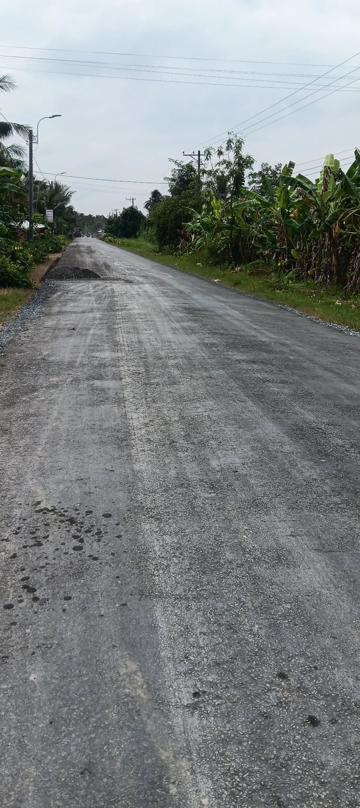 Đất mặt tiền đường tỉnh 907, xã Tân Mỹ, 60.000m² - Cơ hội đầu tư tuyệt vời!