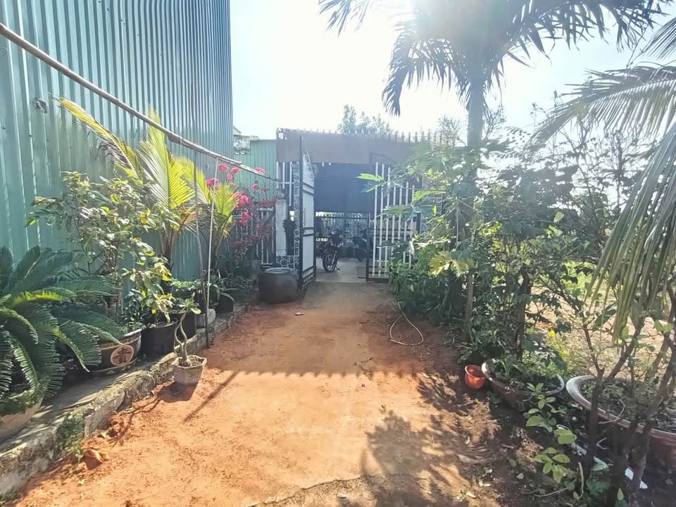 Đất nền thổ cư 186m² xã Hàm Liêm 900m² giá 550 triệu - Cơ hội đầu tư sinh lời!