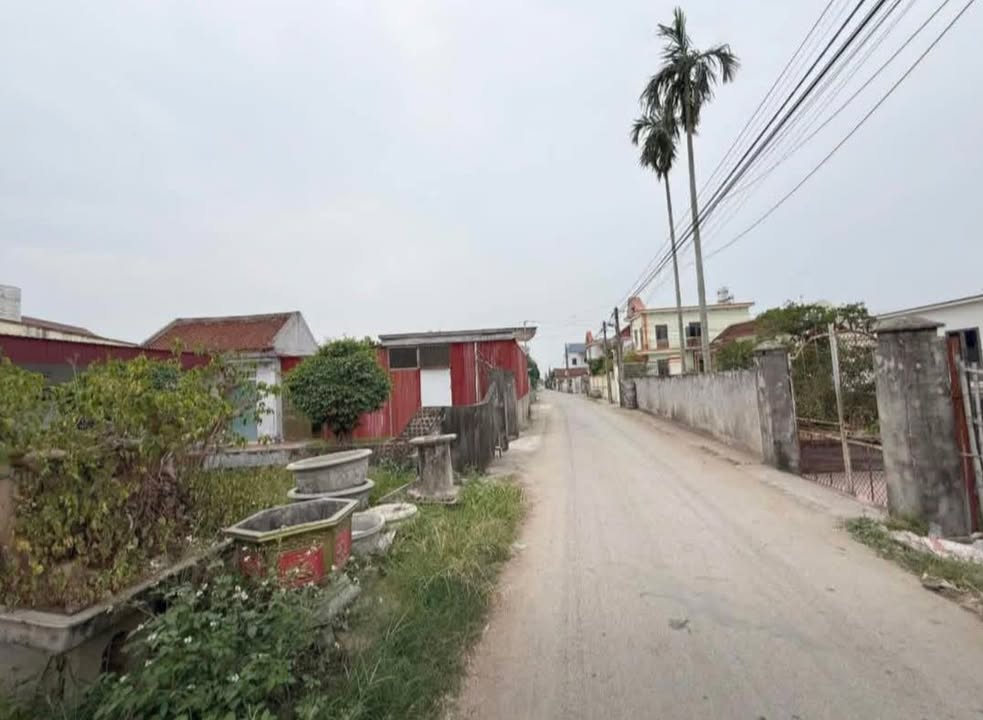 Đất nền Trấn Dương - Vĩnh Bảo 100m² giá chỉ 1,4 tỷ - Cơ hội đầu tư không thể bỏ lỡ!