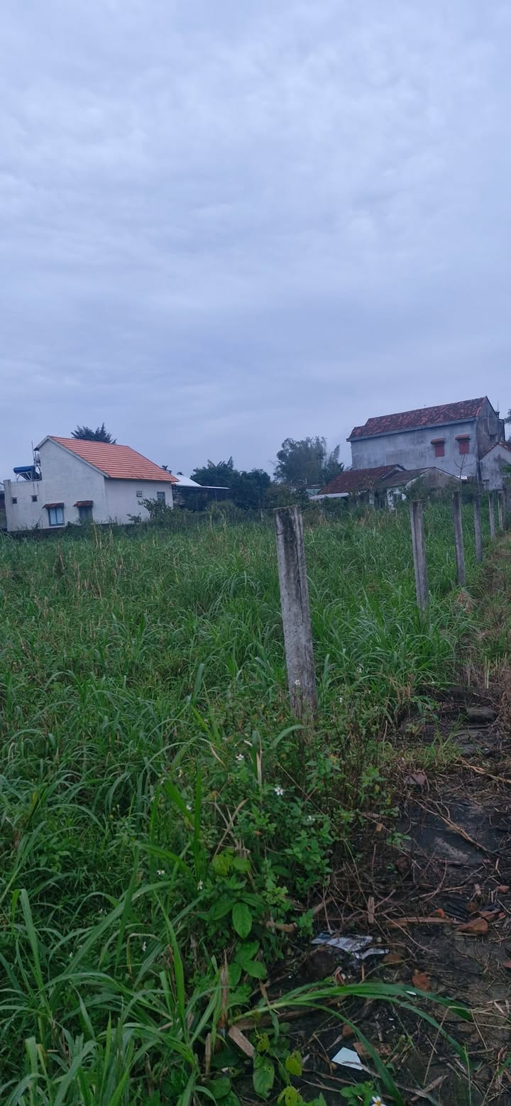 Đất nền chính chủ tại Tịnh Khê 390m² giá chỉ 1.1 tỷ - Đường thông tiện lợi!