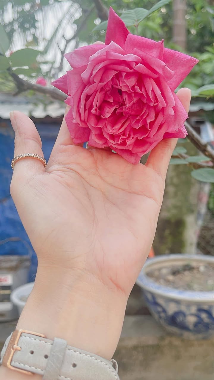 Nhà 1/ Hẻm xe tải thông Phường 11 Gò Vấp 100m² giá 9.5 tỷ - Cơ hội đầu tư hấp dẫn!