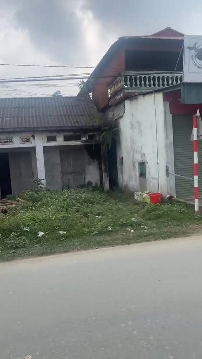 Đất nền kinh doanh tại xã Xuân Viên, Yên Lập 263m² giá 1 tỷ - Cơ hội đầu tư vàng!