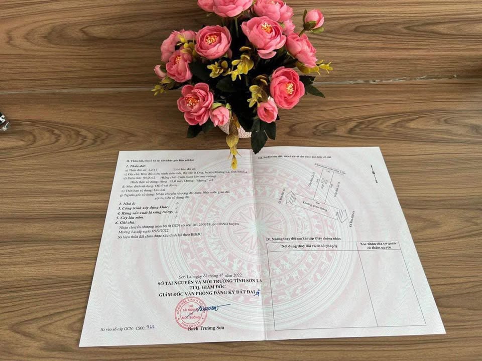 Đất nền chính chủ tại Sơn La 95m² giá thỏa thuận - Tiềm năng đầu tư cao!