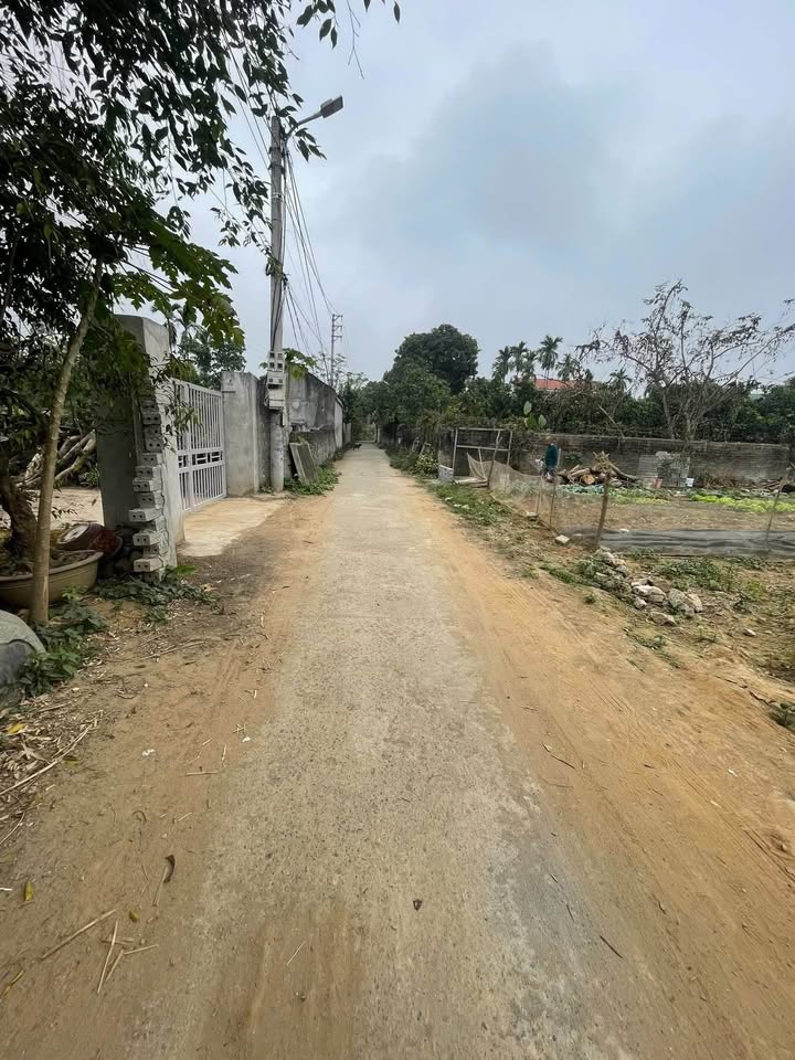 Đất nền Ninh Tốn, Ninh Phúc 52m² giá 1.1 tỷ - Đường ô tô đậu cửa!