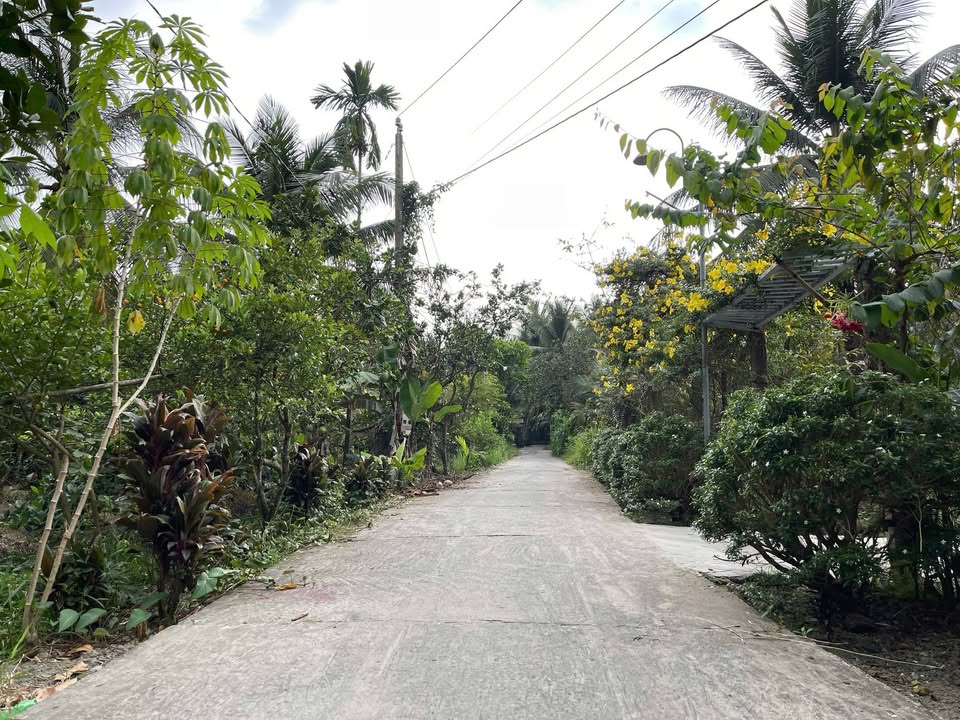 Bán đất vườn 3560m² tại Bình Trưng, Châu Thành - Giá chỉ 3.38 tỷ