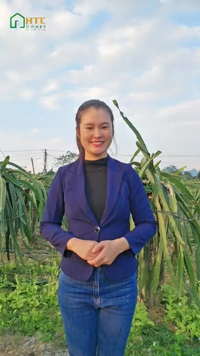 Bán vườn thanh long 1,3ha tại Huyện Đồng Văn, Hà Giang - Giá tốt đầu tư!