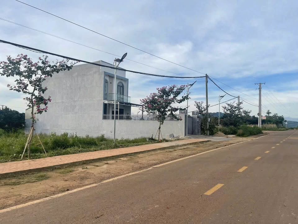 Đất nền mặt tiền đường nhựa DH2, xã Tân Hội, 250m² giá chỉ 990 triệu - Cơ hội đầu tư tốt!