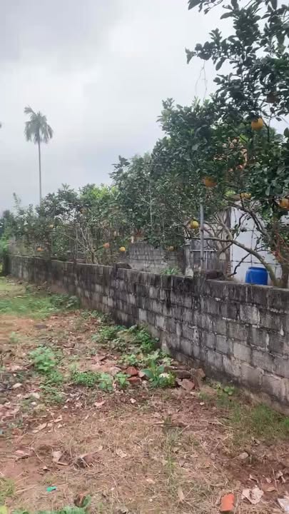 FrontHouse Dân Tiến, Khoái Châu 135m² giá thỏa thuận - Cơ hội đầu tư tuyệt vời!