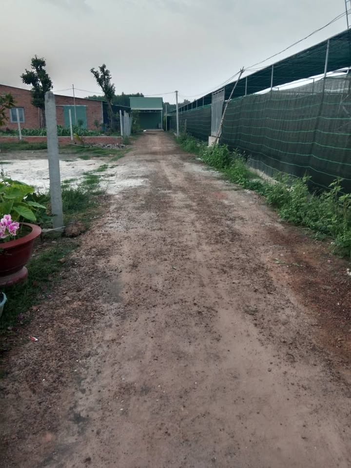 Đất nền 540m² tại ấp Thạnh Hiệp, Thành phố Tây Ninh - Bán gấp giá 320 triệu