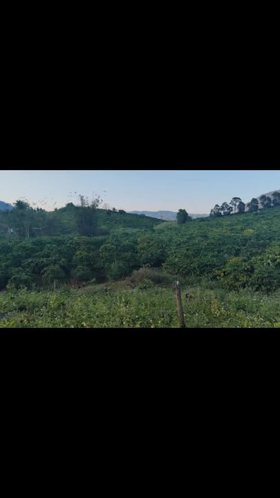 Đất rẫy sổ đỏ 1.1 ha tại xã Krong, huyện Kbang, Gia Lai - Giá chỉ 1 tỷ!