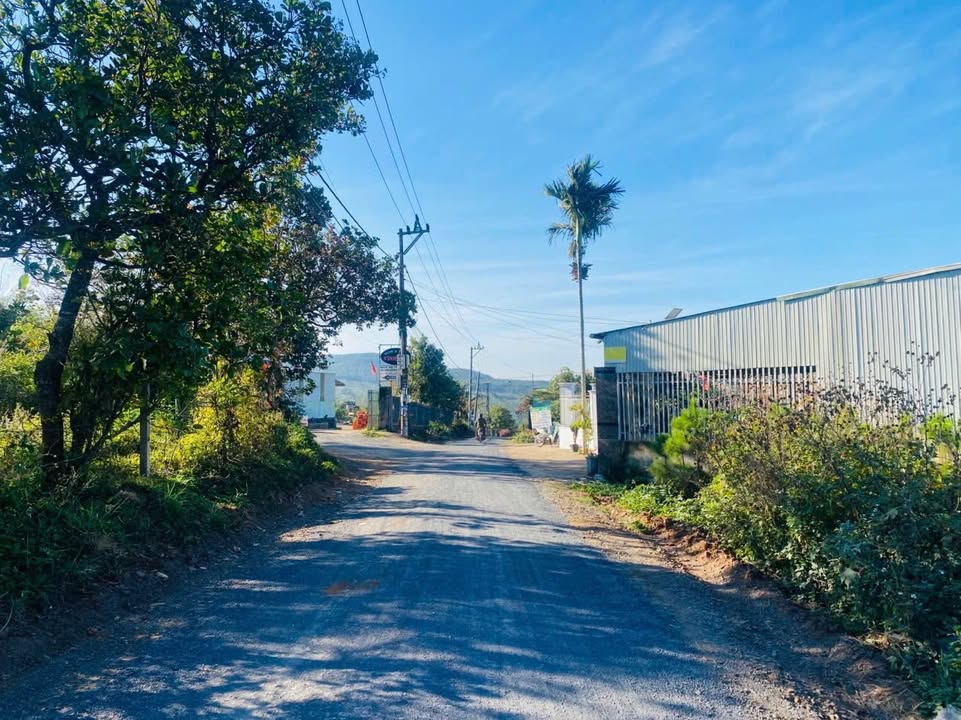 Lô đất hẻm Trường Chinh Pleiku 315m² giá 7xx - Đường rộng thông thoáng!