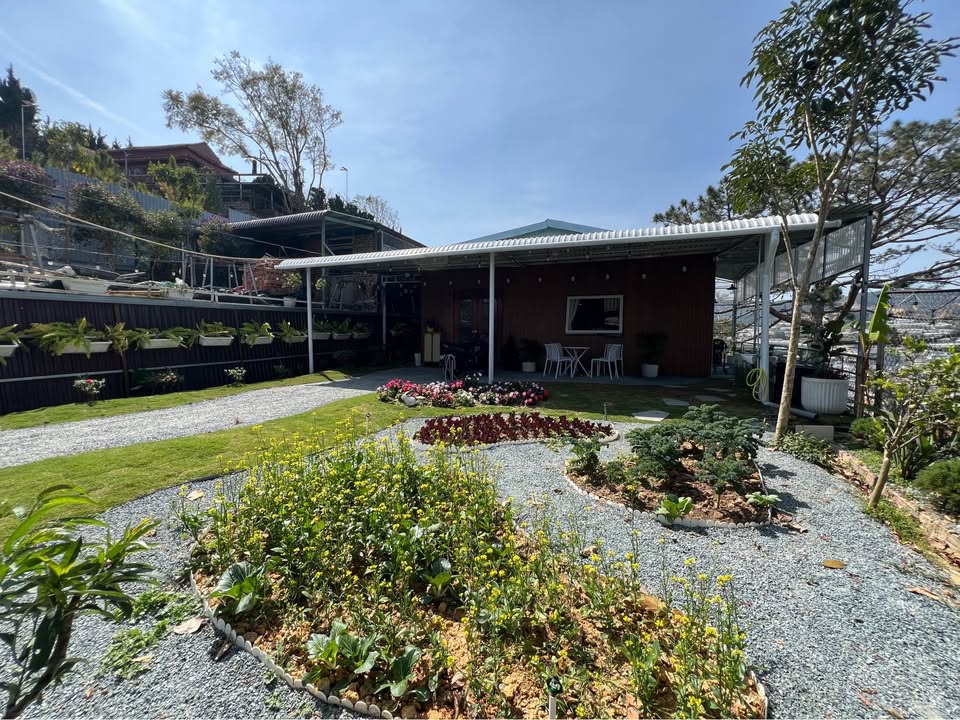 Nhà riêng phố Hoàng Văn Thụ Đà Lạt 250m² giá 2.5 tỷ - Sân vườn view đẹp