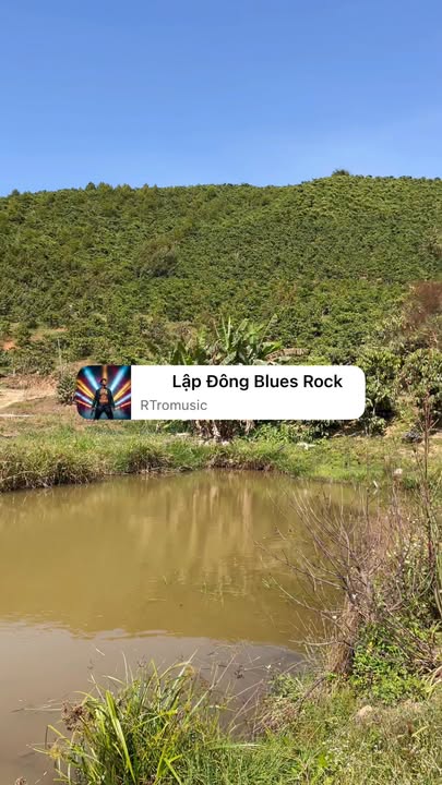 Đất nền 2ha tại Đại Điền, Thạnh Phú - Giá chỉ 840 triệu - Sổ đỏ chính chủ!