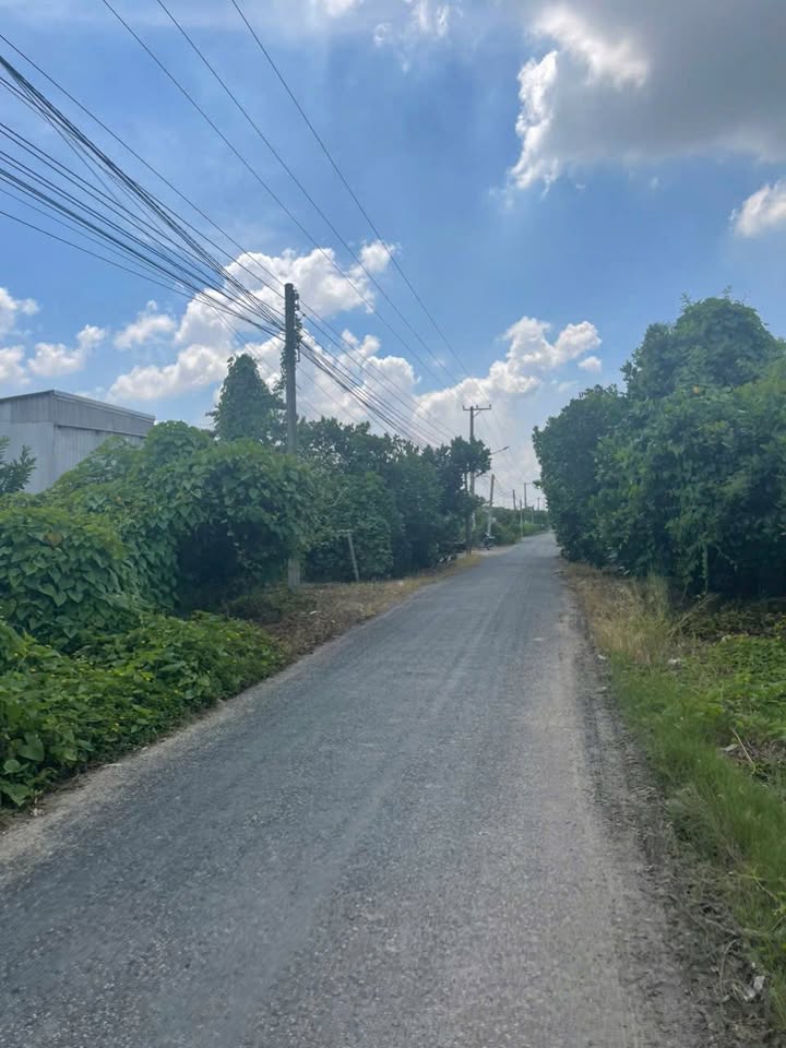 Đất thổ cư mặt tiền đường nhựa xã Vĩnh Khánh, 192m² giá 550 triệu - Cơ hội đầu tư tốt!