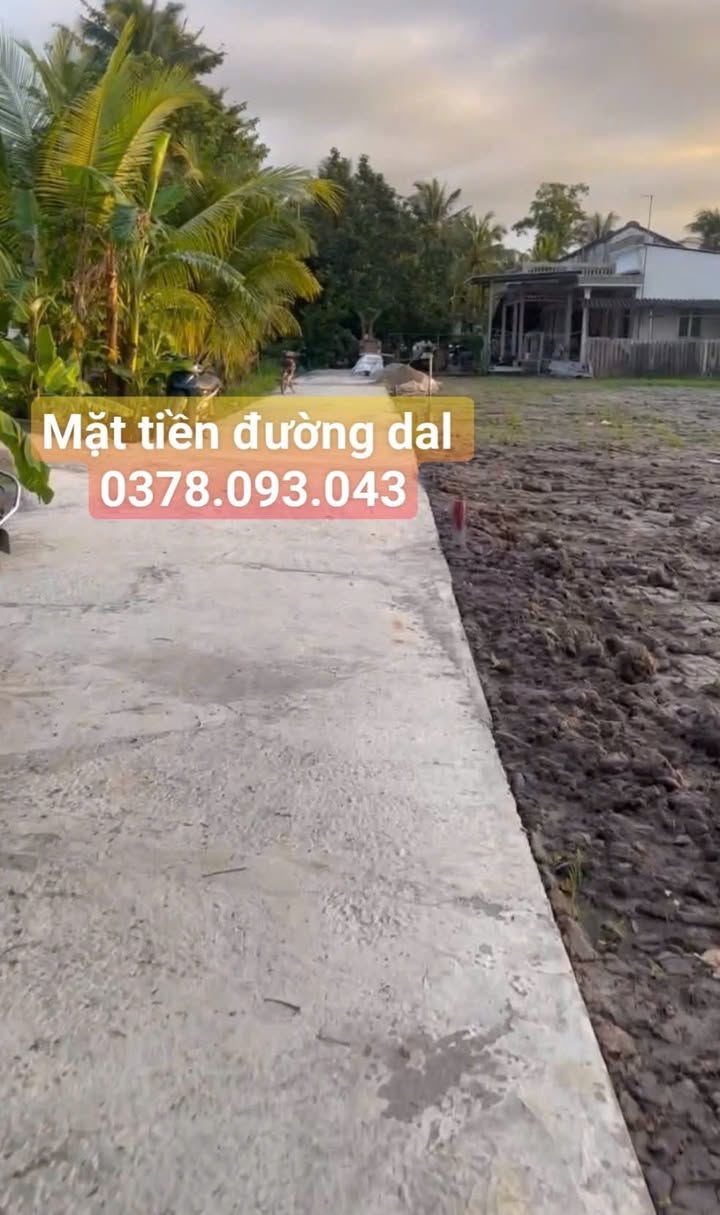 Đất nền Bình Tấn, Thanh Bình 200m² giá 400 triệu - Đầu tư sinh lời ngay!