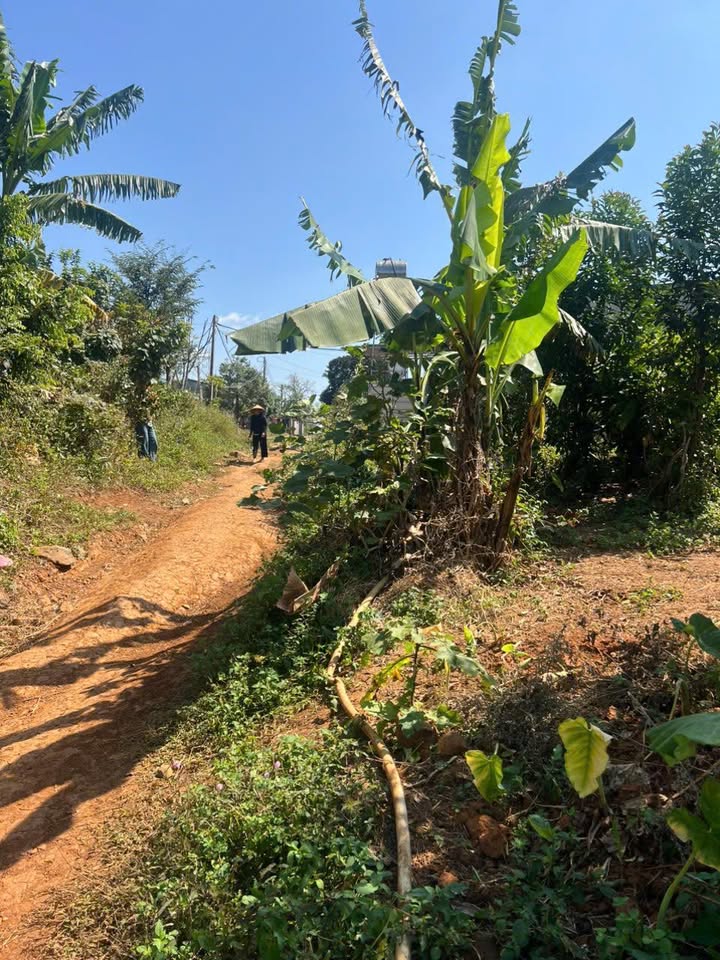 Đất nền xã Ea Sar, huyện Ea Kar, 1340m² giá 2 tỷ - Tiềm năng tăng giá cao!