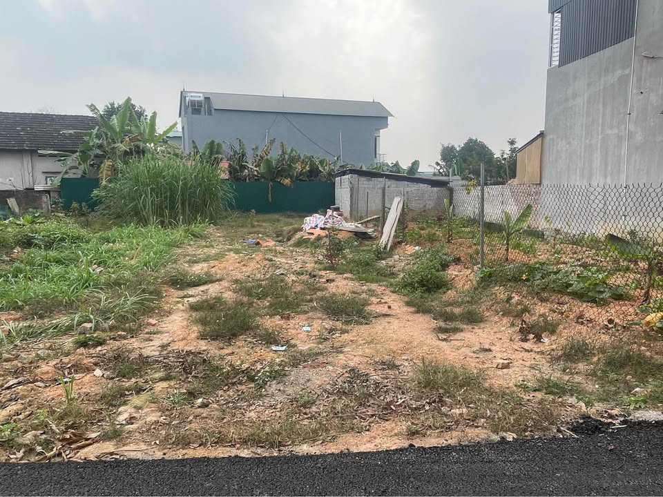 Đất nền Kim Long, Tam Dương 104m² giá 900 triệu - Cơ hội đầu tư hấp dẫn!