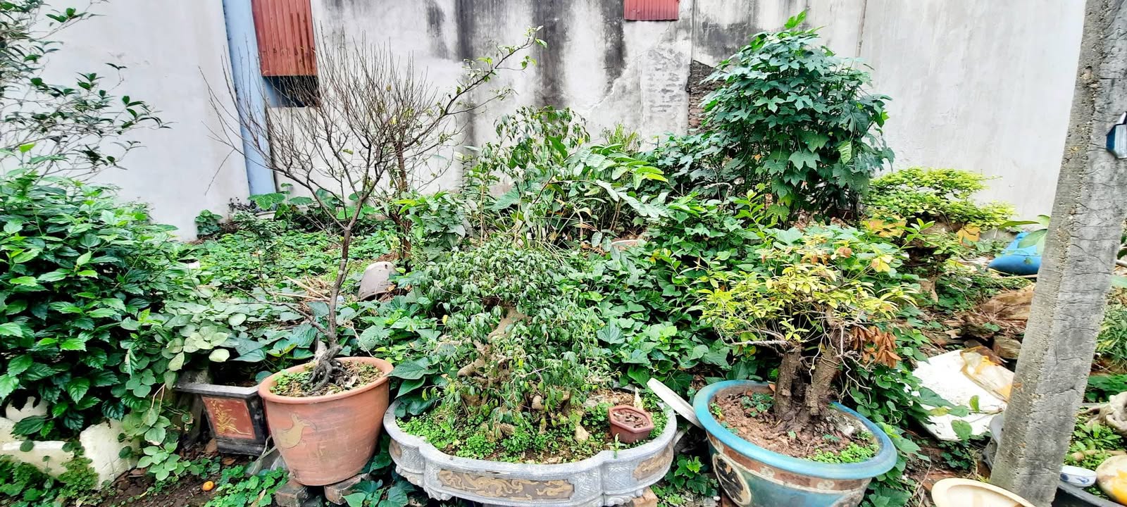 Nhà riêng TDP Bình Minh Trâu Quỳ 42m² giá 4 tỷ - Đầu tư sinh lời tốt!