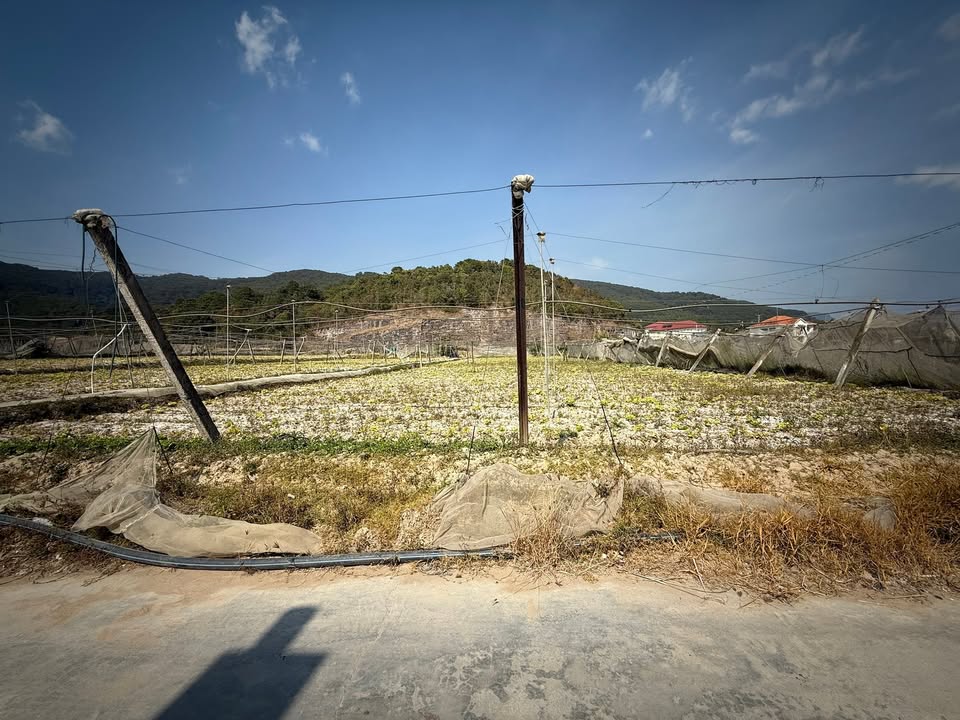 Đất thổ cư Xã Bình Thạnh, Huyện Đức Trọng, 112m² giá 900 triệu - Cơ hội vàng đầu tư!