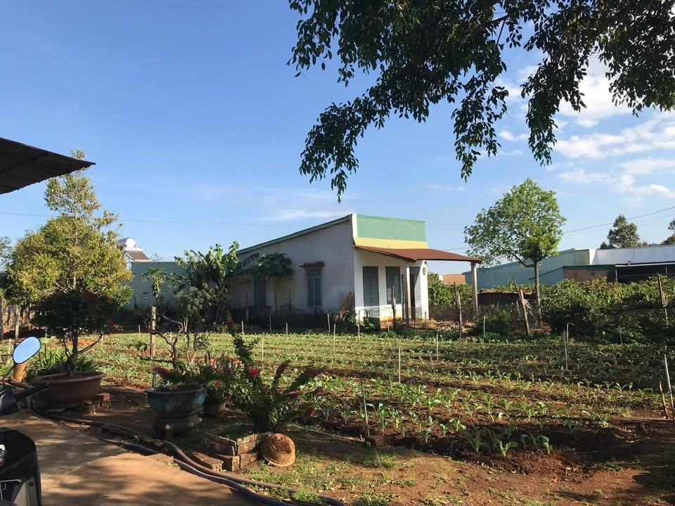 Đất thổ cư hẻm chính Nguyễn Kiệm - 504m² giá 1 tỷ - Sổ đỏ chính chủ!