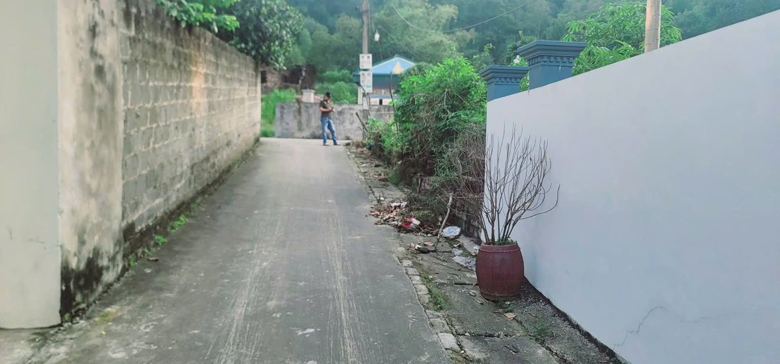 Đất nền Đồng Sài - Phù Lãng - Bắc Ninh 78m² giá 1.1 tỷ - Đường ô tô vào tận nơi!