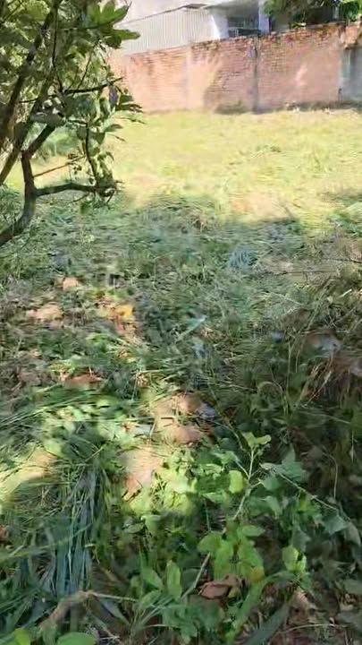 Đất nền Tân Triều Đồng Nai 3700m² giá chỉ 6.5 tỷ - Cơ hội đầu tư vàng!