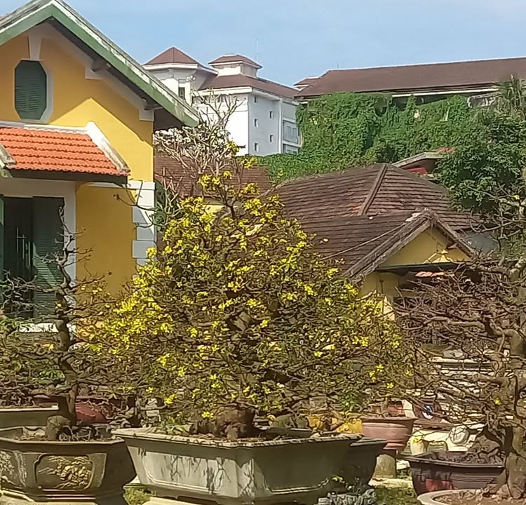 Đất nền 2 mặt tiền đường nhựa Phường Thủy Xuân 400m² giá 4 tỷ - Cơ hội đầu tư hấp dẫn!