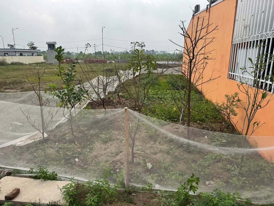 Đất nền Phường Sơn Nam, Hưng Yên 103m² giá 5 tỷ - Đầu tư sinh lời ngay!