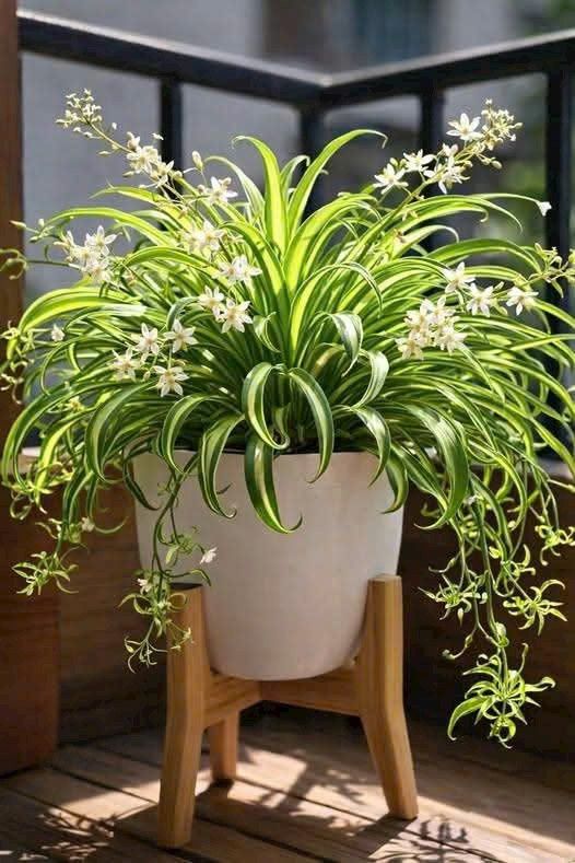 Phòng trọ cho thuê tại Phường Chánh Lộ, TP Quảng Ngãi 27m² - Phòng mới xây, an ninh tốt!