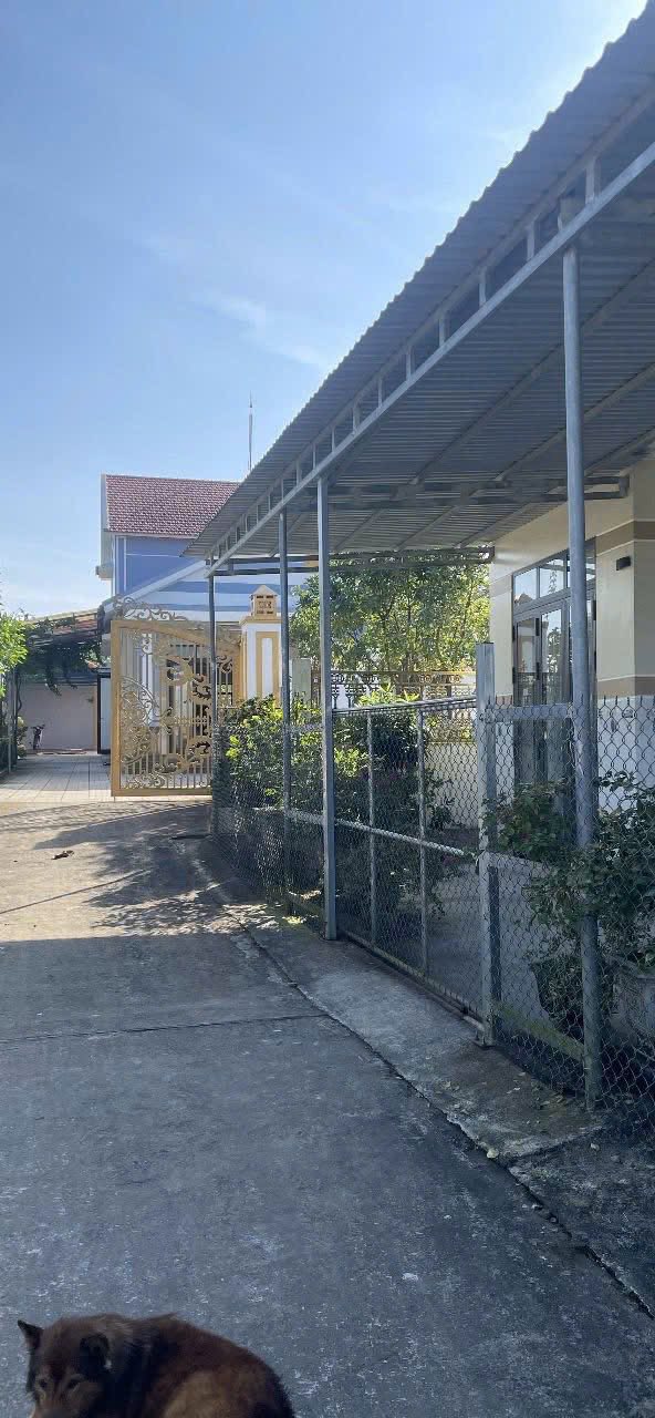 Đất nền xã Nghĩa Thuận 108m² giá 395 triệu - Đường lớn tiện lợi!