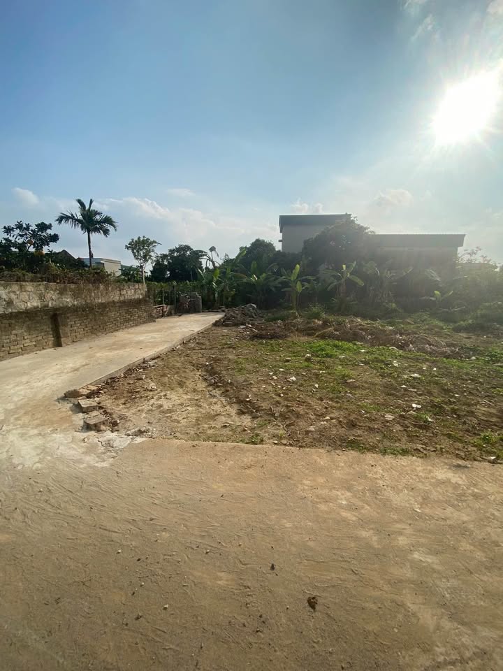 Đất Ninh Phúc, TP Hoa Lư 65m² giá 1.5 tỷ - Đầu tư sinh lời ngay!