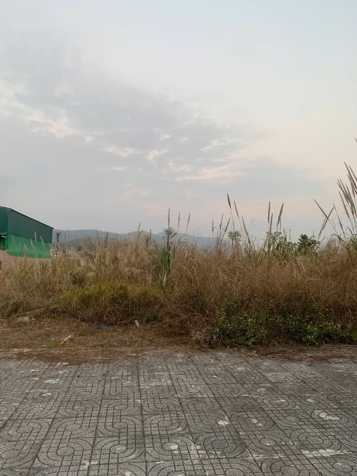 Đất nền Felicity Trưng Vương, 150m² giá 2 tỷ - Đầu tư sinh lời ngay!