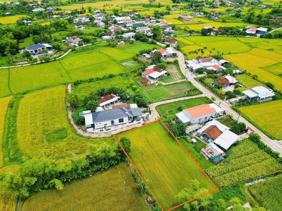 Đất vườn 1000m² Xã Bình Quý - Đầu tư sinh lời chỉ 1.2 tỷ!