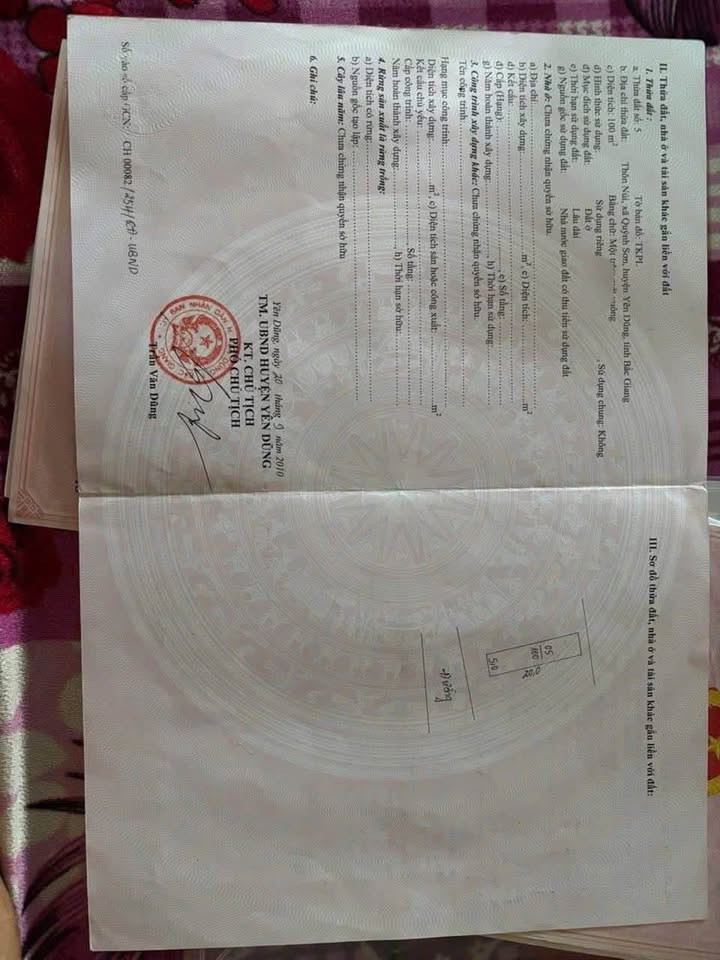 Đất đấu giá Phường Tân An 100m² giá chỉ 2.3 tỷ - Đầu tư sinh lời ngay!