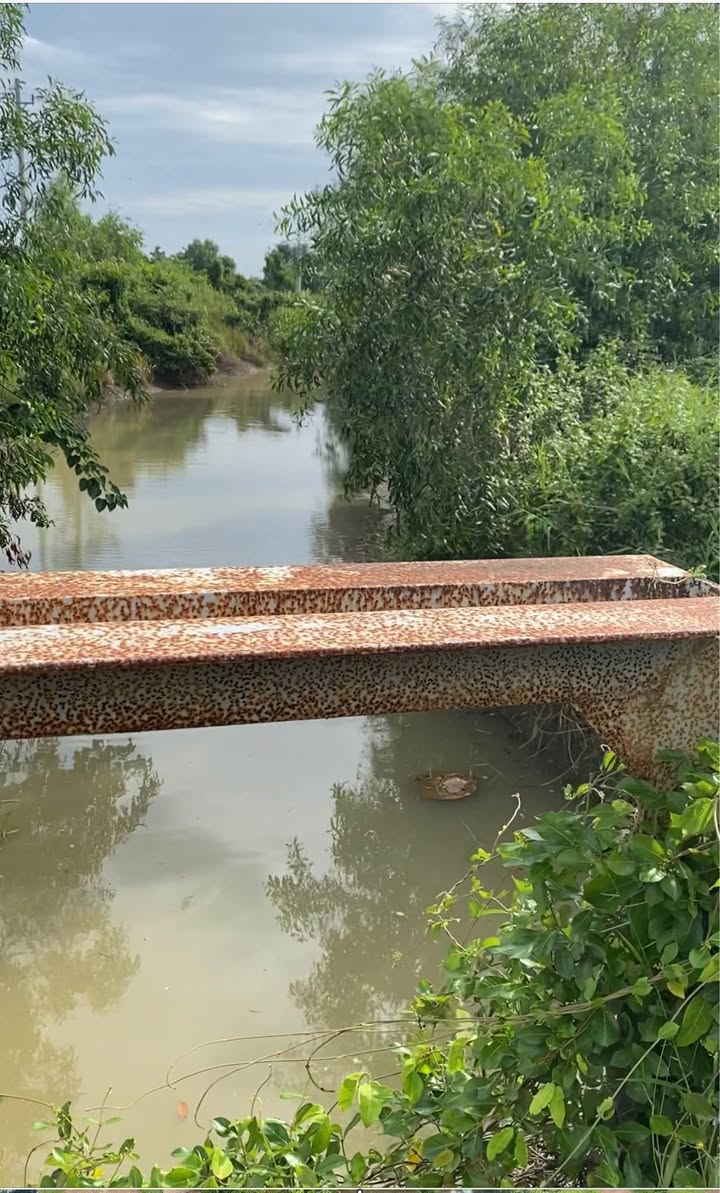 Đất Farm 16,000m² Xã Hồng Sơn, 6.48 Tỷ - Đường Đẹp, Chính Chủ Bán