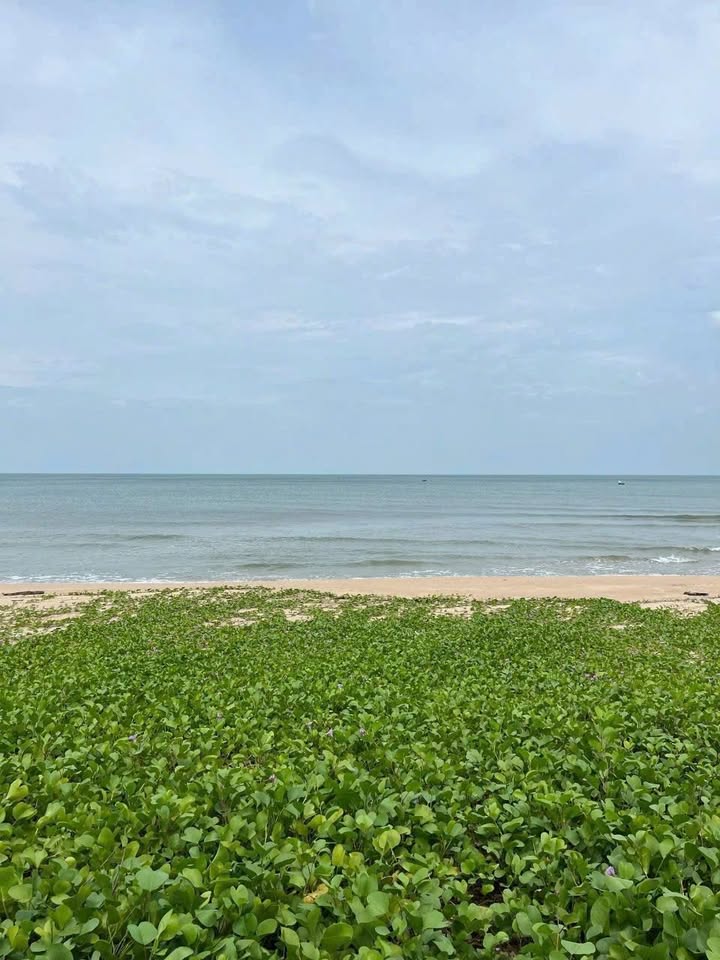 Đất mặt tiền biển Lạc Long Quân, Phan Thiết 368m² giá 11.2 tỷ - Cơ hội đầu tư hấp dẫn!