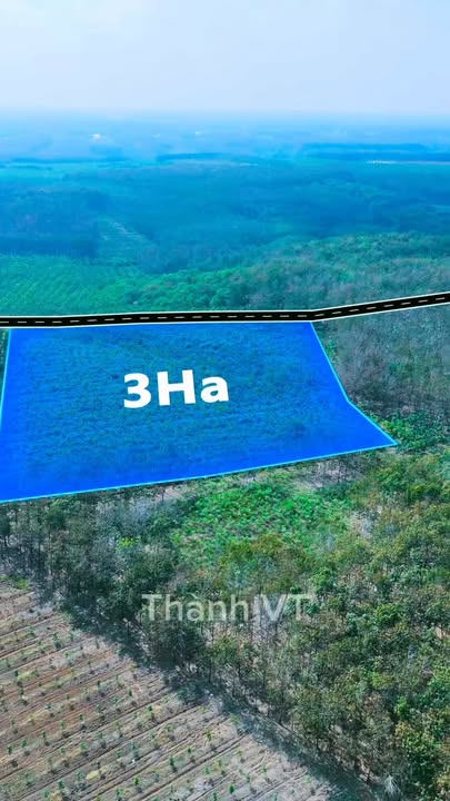 Đất Farm 30,000m² Ấp 6 Tân Thành - Giá chỉ 6 tỷ - Cơ hội đầu tư hiếm có!